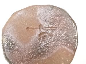 備前焼 正宗千春造 面取花入（共箱） | 宗 sou::お茶道具・着物のお店